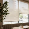 Sheer Roller Blinds for Restaurants & Cafes