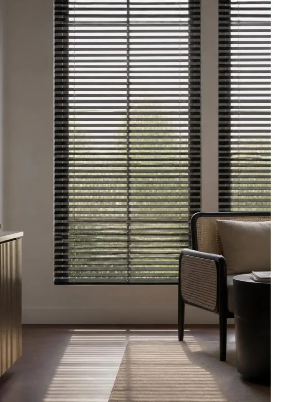 Venetian Blinds