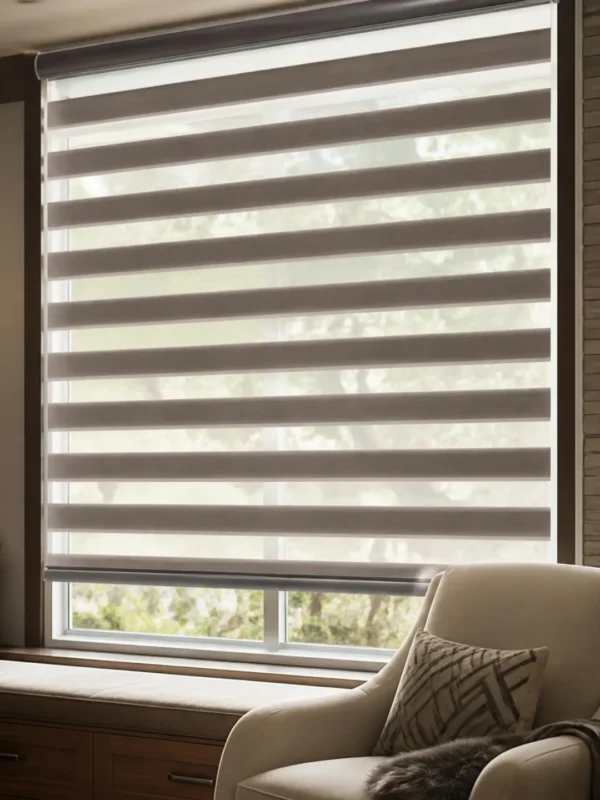 Zebra Blinds